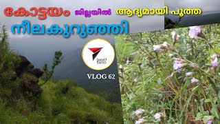 കോട്ടയം ജില്ലയിൽ ആദ്യമായി പൂത്ത നീലകുറുഞ്ഞി / VLOG 62 / TRAVEL 4 EXPLORE