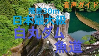 [Lahita] Shiromaru Dam Gyodo - Japan's Largest Fish Pathway -