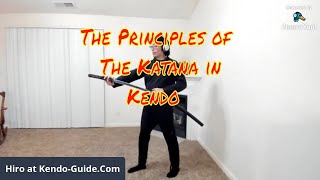 Kendo Guide Live for Complete Beginners: Sword and Shinai