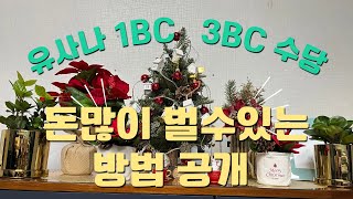 유사나 1BC. 3BC 돈버는방법 ㅣ부업으로 살살 시작하는 방법 ㅣ리스크가 적은 네트워크 ㅣ아무것도 하지않는것이 가장큰 리스크