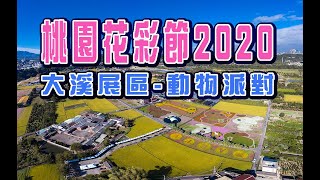 2020桃園花彩節 2動物派對大溪展區空拍一鏡mavic 2 pro