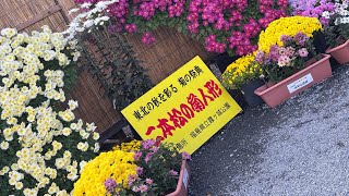 二本松の菊人形をみてきました！〜やさぐれ夫婦の中途半端な旅（行楽編）