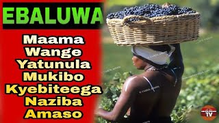 EBbaluwa: Maama Wange  Yatunula Mukibo Kyebiteega Naziba  Amaso