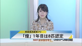 北國新聞ニュース（昼）2023年2月1日放送