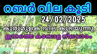 ഇന്നത്തെ റബ്ബർ വില | Rubber price today | Manojnediyackal rubber tapping | 24/02/2025