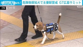 G7広島サミットに向け　危険物探知犬で主要駅を警戒(2023年4月13日)