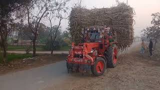 Belarus 510 Tractor 🚜🔥 | speedy tractors pulling sugarcane trolley 🚀🙌
