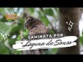 Caminata relajante por senderos: Reserva Laguna de Sonso - Asherita Viajera - deviajesyaves.com