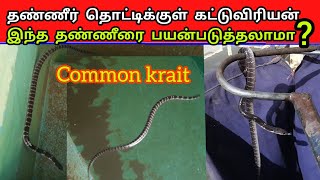 தண்ணீர் தொட்டிக்குள்| பாம்பு விழுந்து விட்டால்| அந்த தண்ணீரை பயன்படுத்தலாமா?  | Snake_Saga