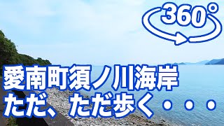 愛南町 須ノ川海岸をただ、ただ歩く(2022.5.22)