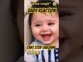 Baby Can’t Stop Laughing  @  Cat! #shorts #babyreaction #catreaction #cats #babyshorts #babyvideos