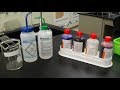 Gram Stain Video, problem solving