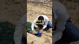 What happened! Peacock in the Forest #shorts #viralvideo ,funeral of Peacock