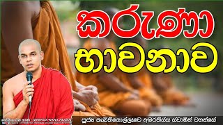 කරුණා භාවනාව | මේ විදිහට මෙනෙහි කරමින් භාවනාවෙහි යෙදෙන්න | ven. kabithigollewa amarathissa thero