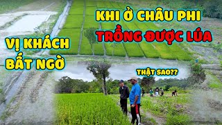 Vị Khách PhảI Thốt Lên \