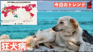 【今日のトレンド#5】日本国内で外国人男性が狂犬病を発症した件。【mista】