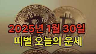 2025년 1월30일 띠별 오늘의 운세