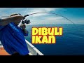 Gasak ikan celah buluh tuas I Pemenang July 2020