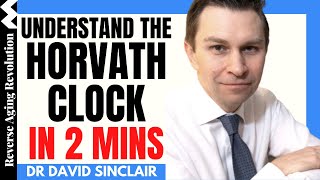 Understand The Horvath Clock IN 2 MINS | Dr David Sinclair Interview Clips