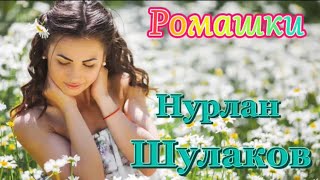 Нурлан Шулаков 🌼 Ромашки (Премьера 2024)