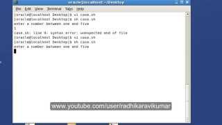 Unix: Case Statements in Shell Scripting