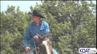 Horses Used For Therapy For Returning Soldiers
