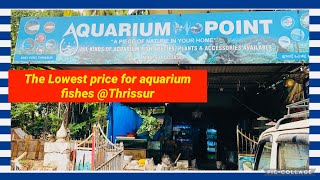 AQUARIUM POINT | The lowest priced aquarium shop in Thrissur 🤑🤑