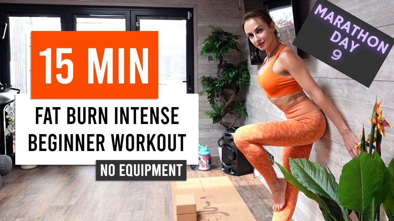 Intense Fat Burning Beginner Workout No Equipment Youtube