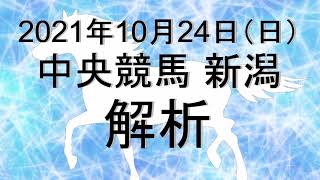 【競馬解析】2021/10/24 新潟競馬 #競馬,#競馬予想,#中央競馬,#新潟競馬,#新潟,#予想,#JRA