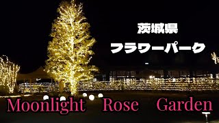 【茨城県】茨城県フラワーパークMoonlight　Rose　Garden　2023