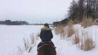 旭川 雪地騎馬 11