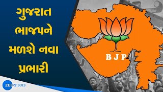 Gujarat BJP ને મળશે નવા પ્રદેશ પ્રભારી | The new in-charge may be announced | ZEE 24 Kalak