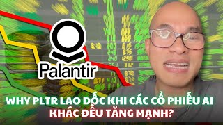 Why PLTR lao dốc khi các cổ phiếu A.I khác đều tăng mạnh?