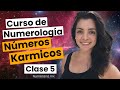 ¿QUÉ son los NÚMEROS KARMICOS? 🌌 Curso de NUMEROLOGÍA