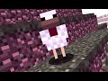 the chicken comes ep1 a chicken hijack a plane in minecraft