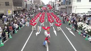 備後ばらバラよさこい踊り隊①2024.05.19 第57回福山ばら祭2024