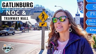 Walking around GATLINBURG and visiting the NOC, CALHOUN'S VILLAGE SHOPS and TRAMWAY MALL