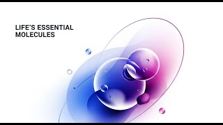 Life’s Essential Molecules: The Role of Oxygen in Biological Systems