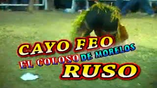 INTRO PRODUCCIONES ORTIZ CAYO FEO EL COLOSO DE MORELOS RUSO DE ZAPATA