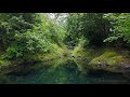 Madeira Aerial Drone Footage #9 - Levada dos Balcões Trail