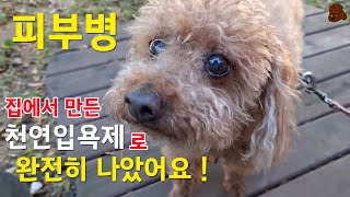 200원으로 만든 이것으로 강아지 피부병 완전히 나았어요 #천연입욕제 #강아지피부병