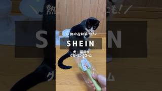 【SHEIN購入品】きもちいい犬猫グッズ【グルーミングコーム】 #ブラッシング #shorts