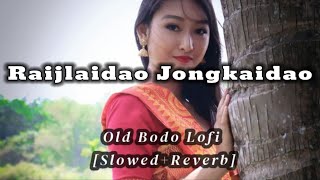 Raijlaidao Jongkaidao || Bodo Song _ Bodo [Slowed + Reverb] Bodo Lofi Song @ztlilofi old bodo song