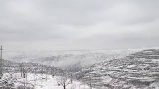 甘肃天水又下雪了，一夜之间漫山白茫茫一片，我以为又回到了冬天