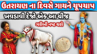 ઉતરાયણ ના દિવસે ખવડાવી દેજો ગાય ને એક આ ચીજ,ગરીબી નો નાશ થશે,#vastutips