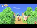 5 MORE Design Tips For YOUR Island  Animal Crossing New Horizons