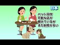 【ランキング】2024！最新 中国の人気犬種ベスト10 中国での飼い方