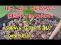 tips cara merawat media tanaman supaya sehat & subur#Bang Amel Channel