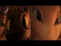 HTTYD Snoggletog Log - Toothless and Light Fury