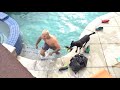 Throwing My Brothers $10,000 Shoe Collection In The POOL PRANK!!!!!!!